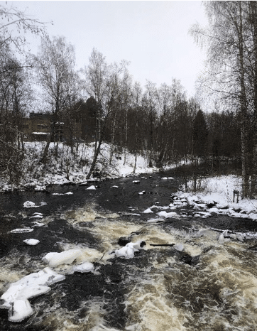 Arwen à Jyväskylä 4 b 1